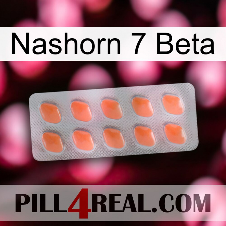 Rhino 7 Beta 26